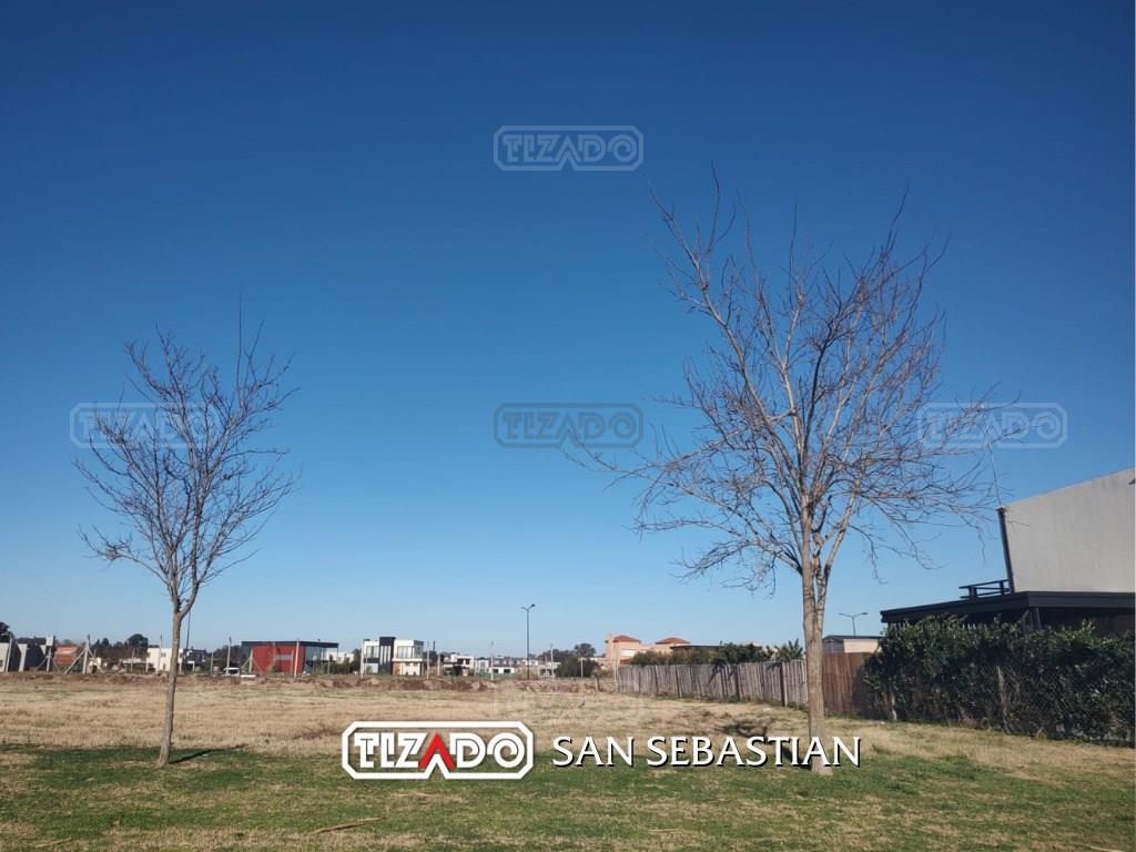 #4390189 | Venta | Lote | San Sebastian (Tizado)