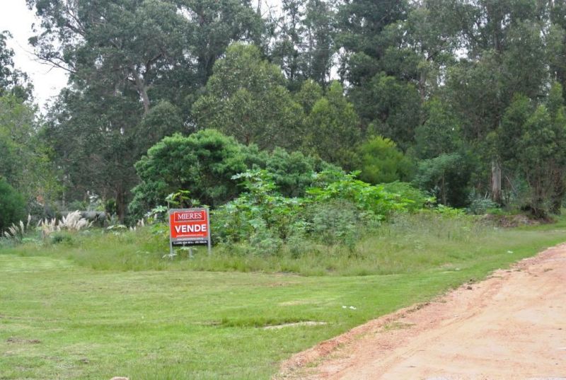 #1179192 | Sale | Lot | Punta del Este (Antonio Mieres)