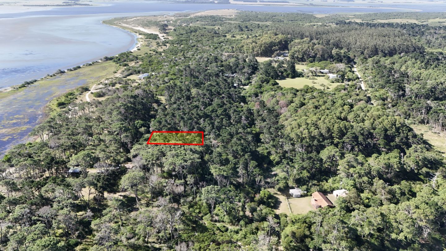 #1177876 | Venta | Lote | Faro José Ignacio (Antonio Mieres)