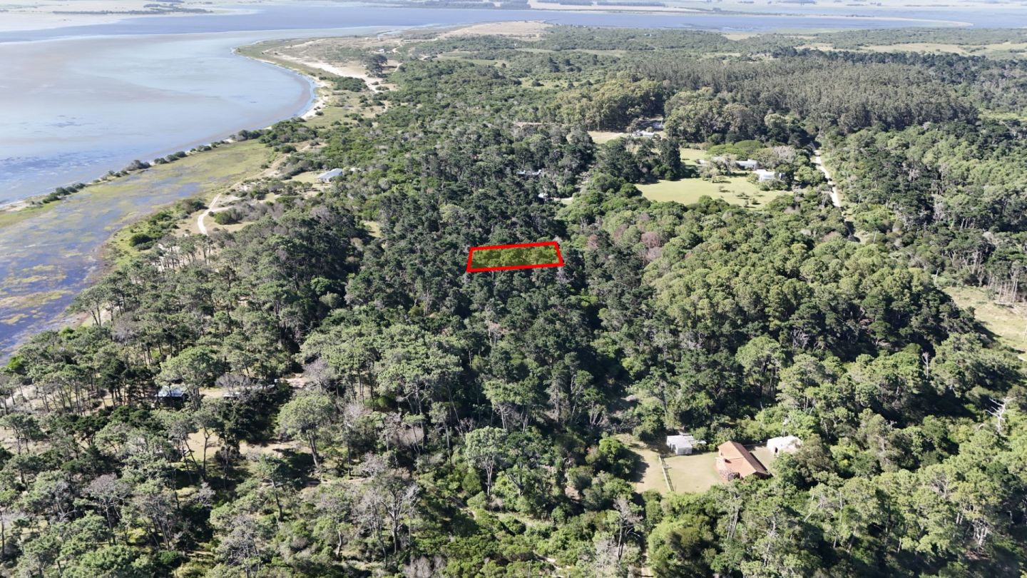 #1177877 | Venta | Lote | Faro José Ignacio (Antonio Mieres)