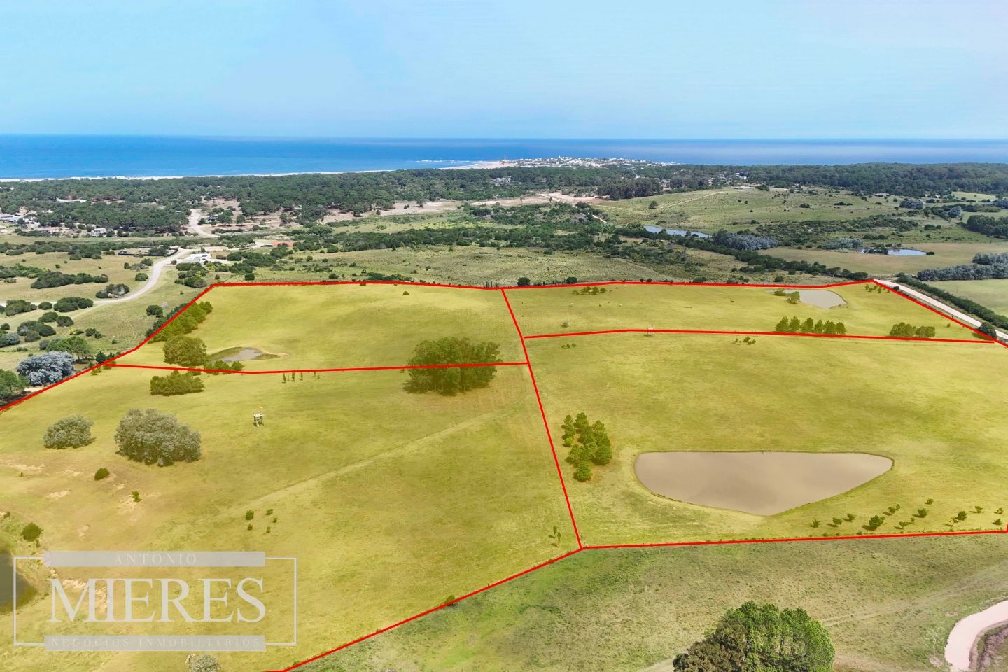 #3017841 | Venta | Casa Quinta | Faro José Ignacio (Antonio Mieres)