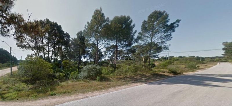 #5422824 | Venta | Lote | Punta Ballena (Antonio Mieres)