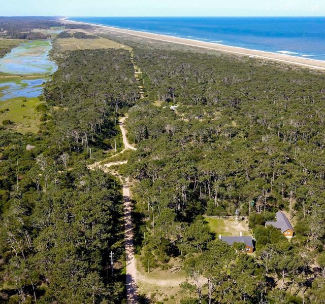 #1177882 | Venta | Lote | Laguna de Jose Ignacio (Antonio Mieres)