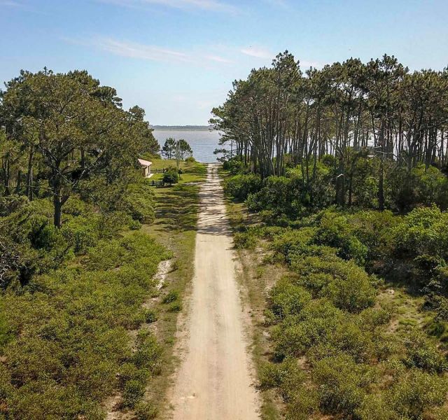 #1177883 | Venta | Lote | Laguna de Jose Ignacio (Antonio Mieres)