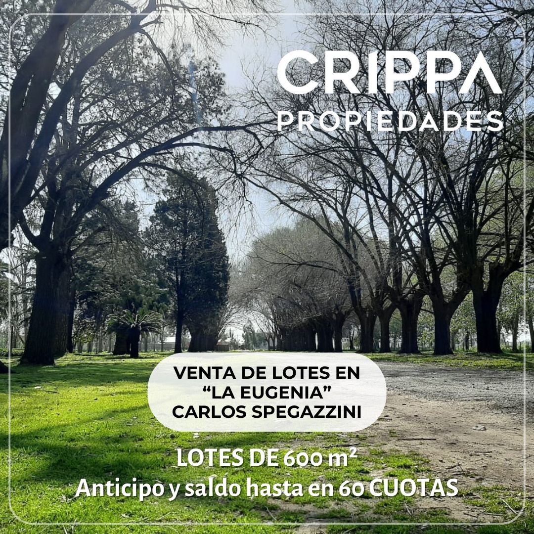 #5351792 | Venta | Lote | Carlos Spegazzini (Crippa propiedades)