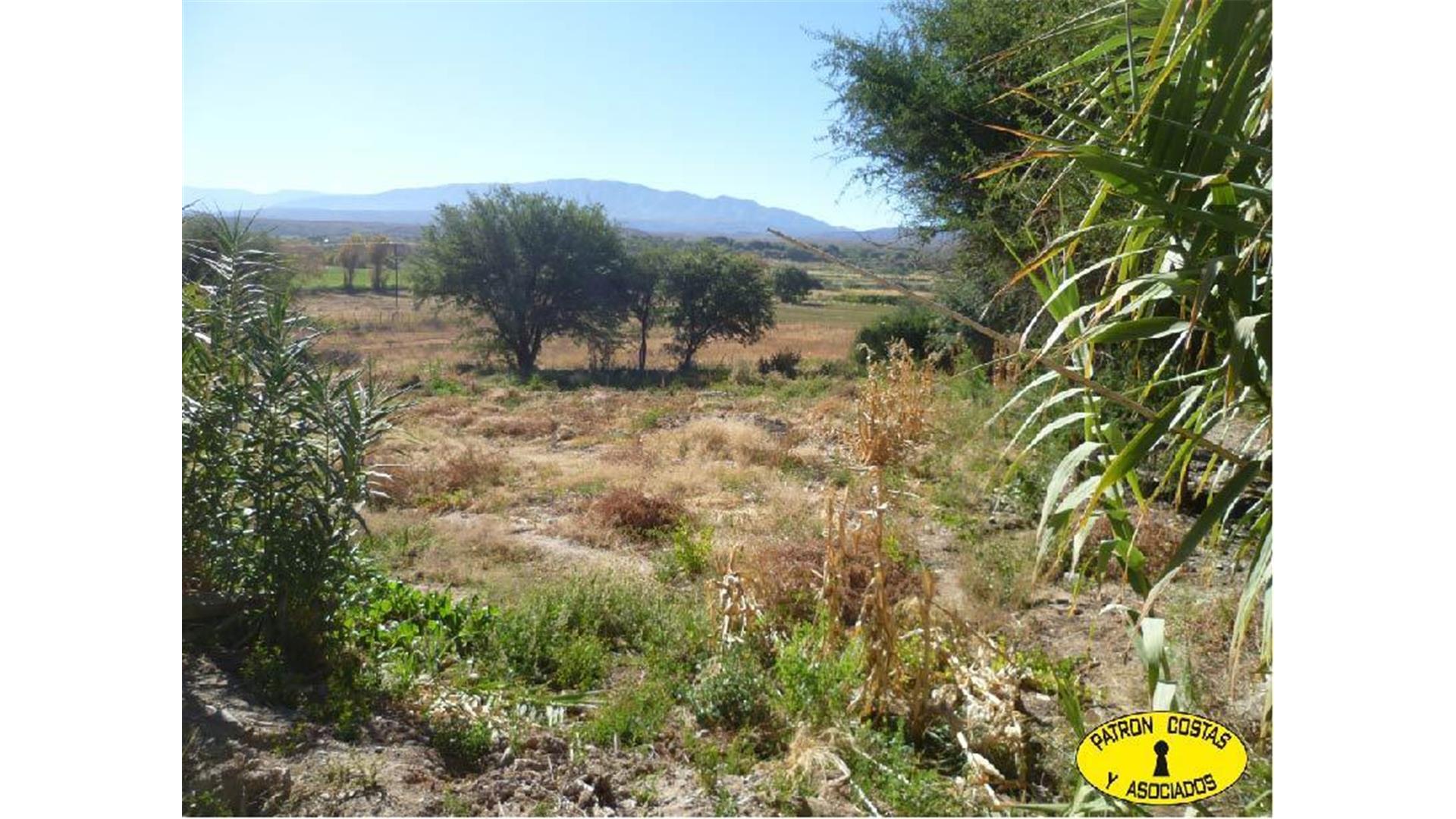 #1014201 | Venta | Campo / Chacra | Cachi (Patron Costas Y Asociados)