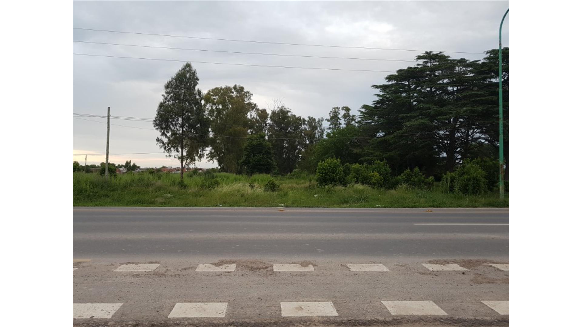 #908030 | Venta | Campo / Chacra | La Plata (Zb Propiedades)