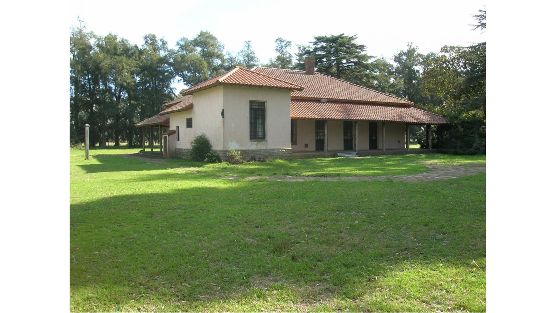 #985959 | Venta | Casa | La Matanza (D.lenge Propiedades -villa Luzuriaga)