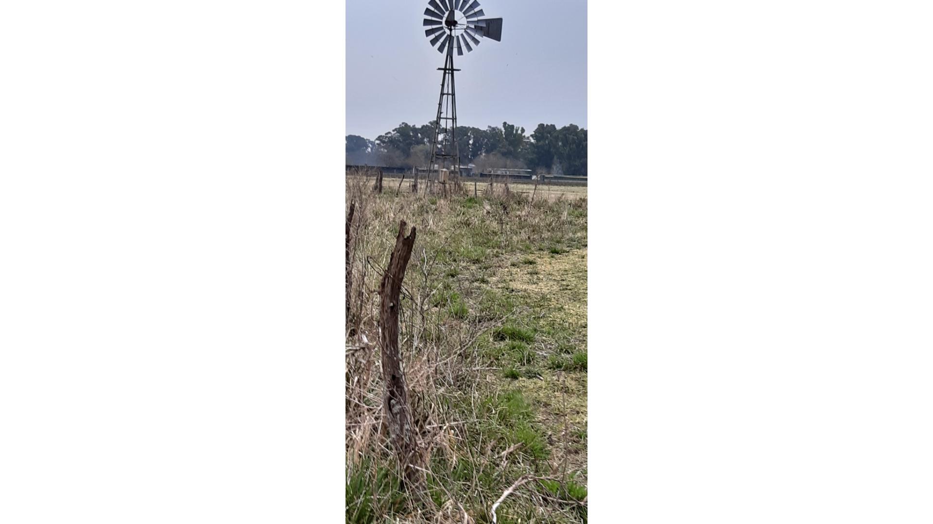 #1366339 | Venta | Campo / Chacra | Mercedes (El Ceibo Propiedades De Javier Schuldeis.)