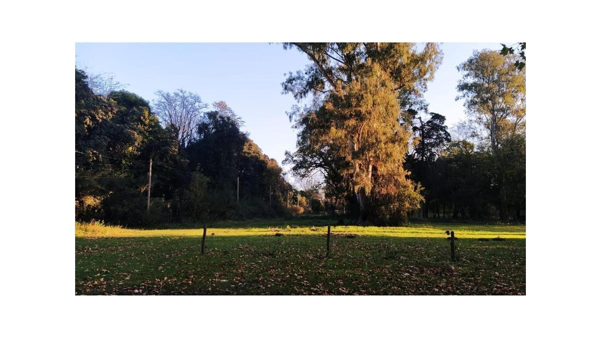 #1686112 | Sale | Lot | Echeverria Del Lago (Picco Propiedades)