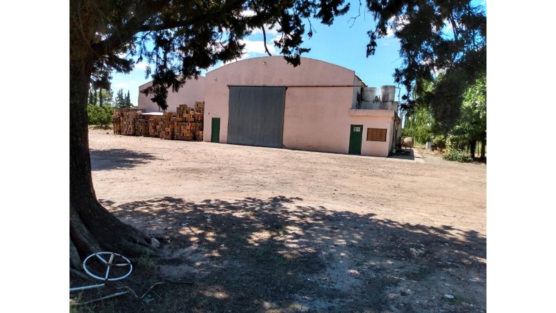#1818222 | Alquiler | Galpón / Depósito / Bodega | San Pedro (Gonzalez Truyols)