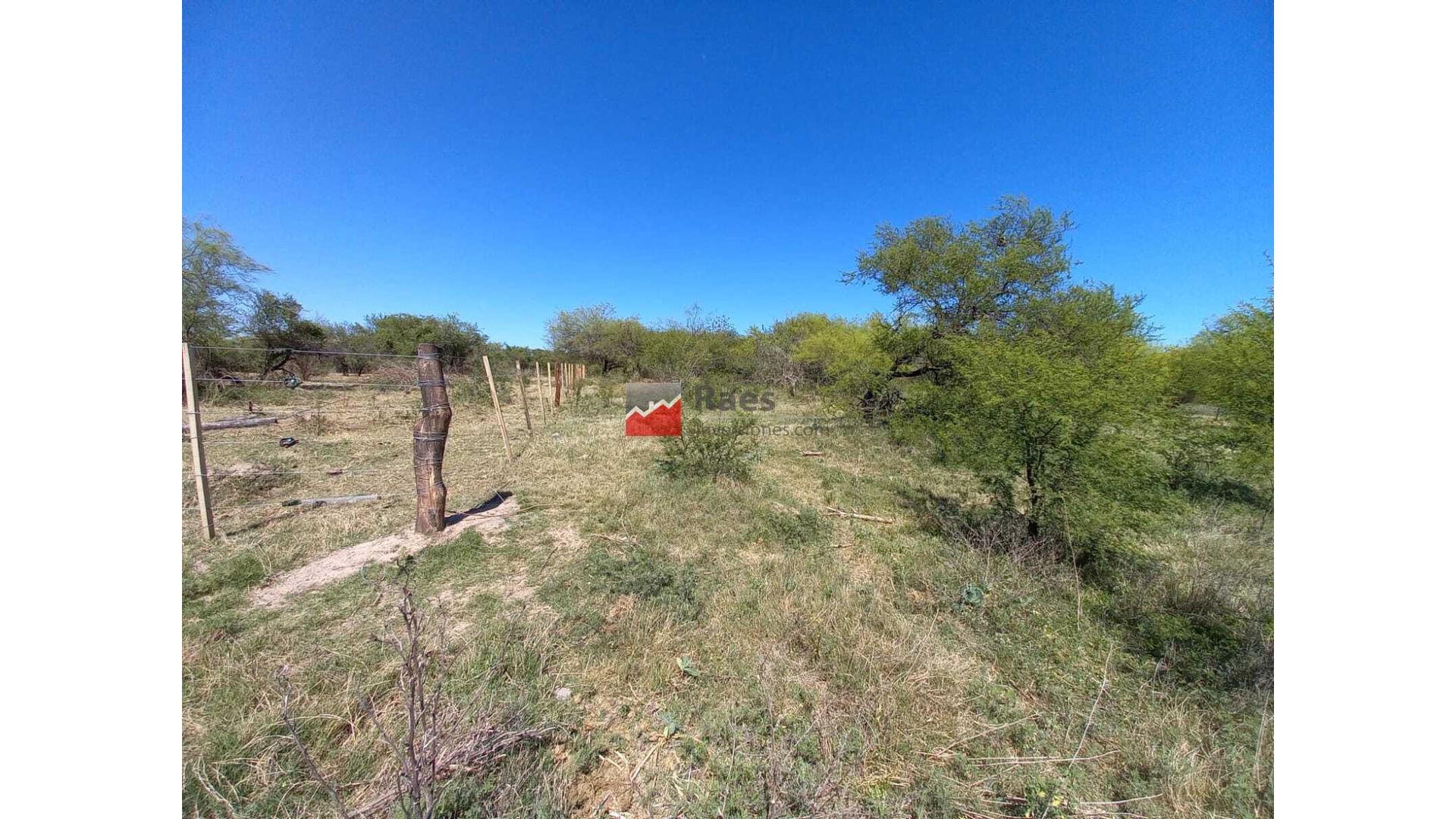 #3327486 | Venta | Campo / Chacra | Arocena (Ragusa Inmobiliaria)