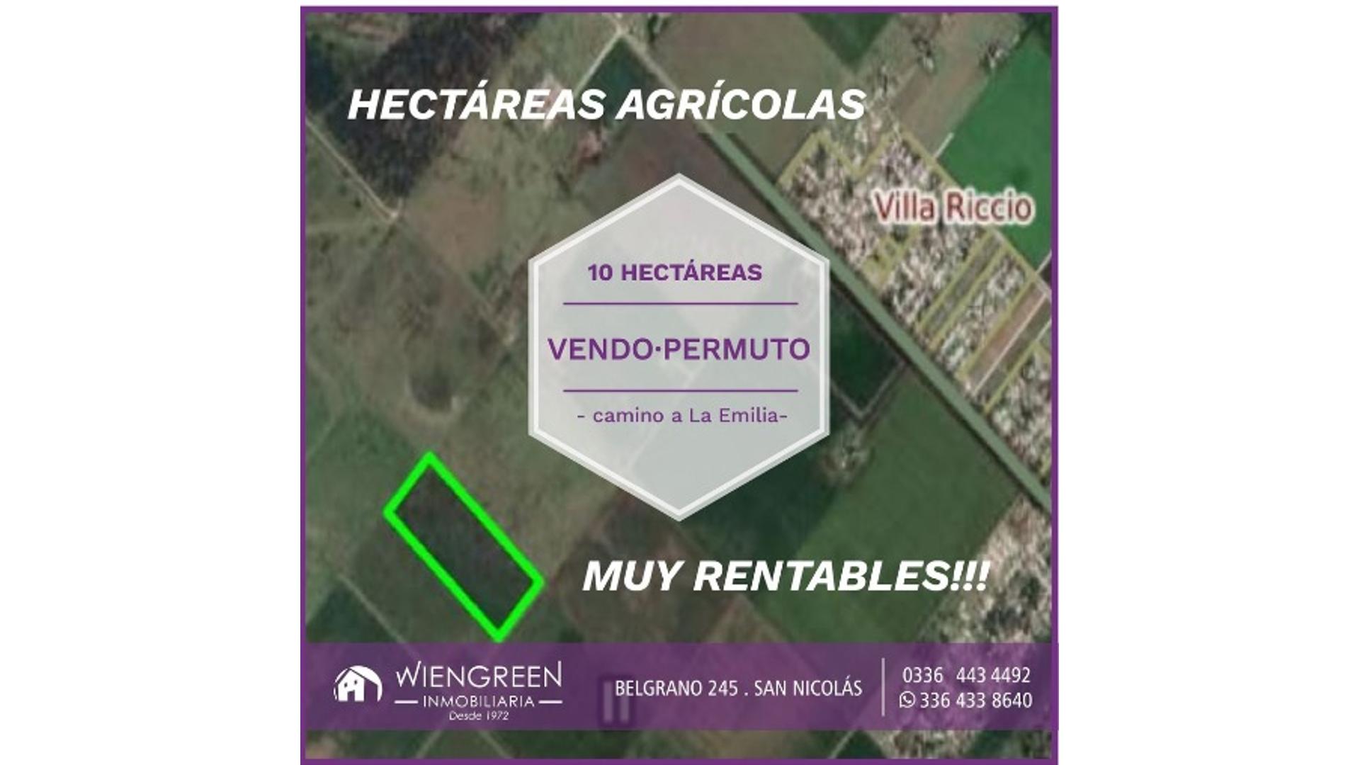 #3567796 | Venta | Campo / Chacra | San Nicolas De Los Arroyos (Inmobiliaria Wiengreen)