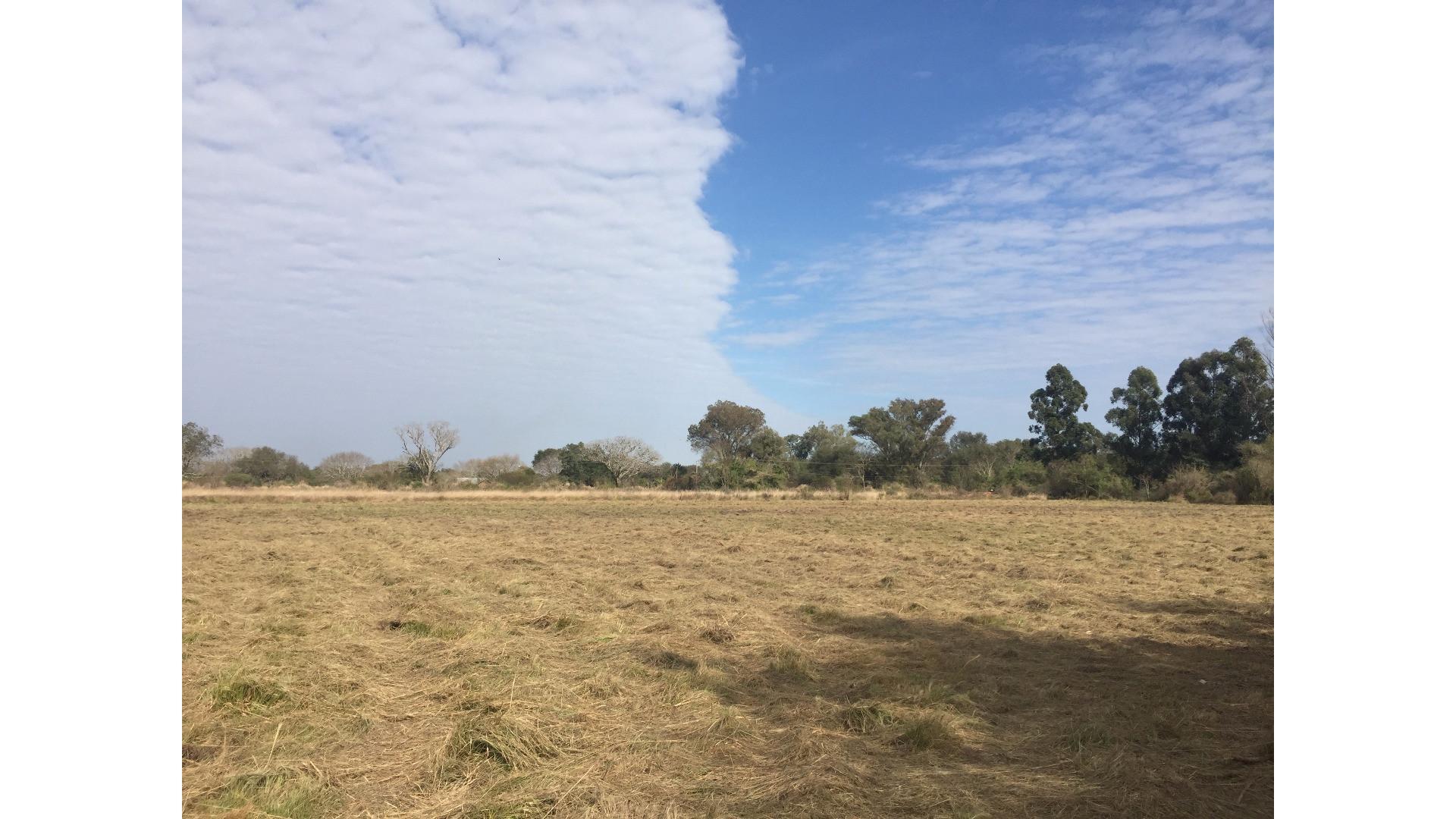 #5411454 | Venta | Campo / Chacra | Resistencia (FID.COM INMOBILIARIA)