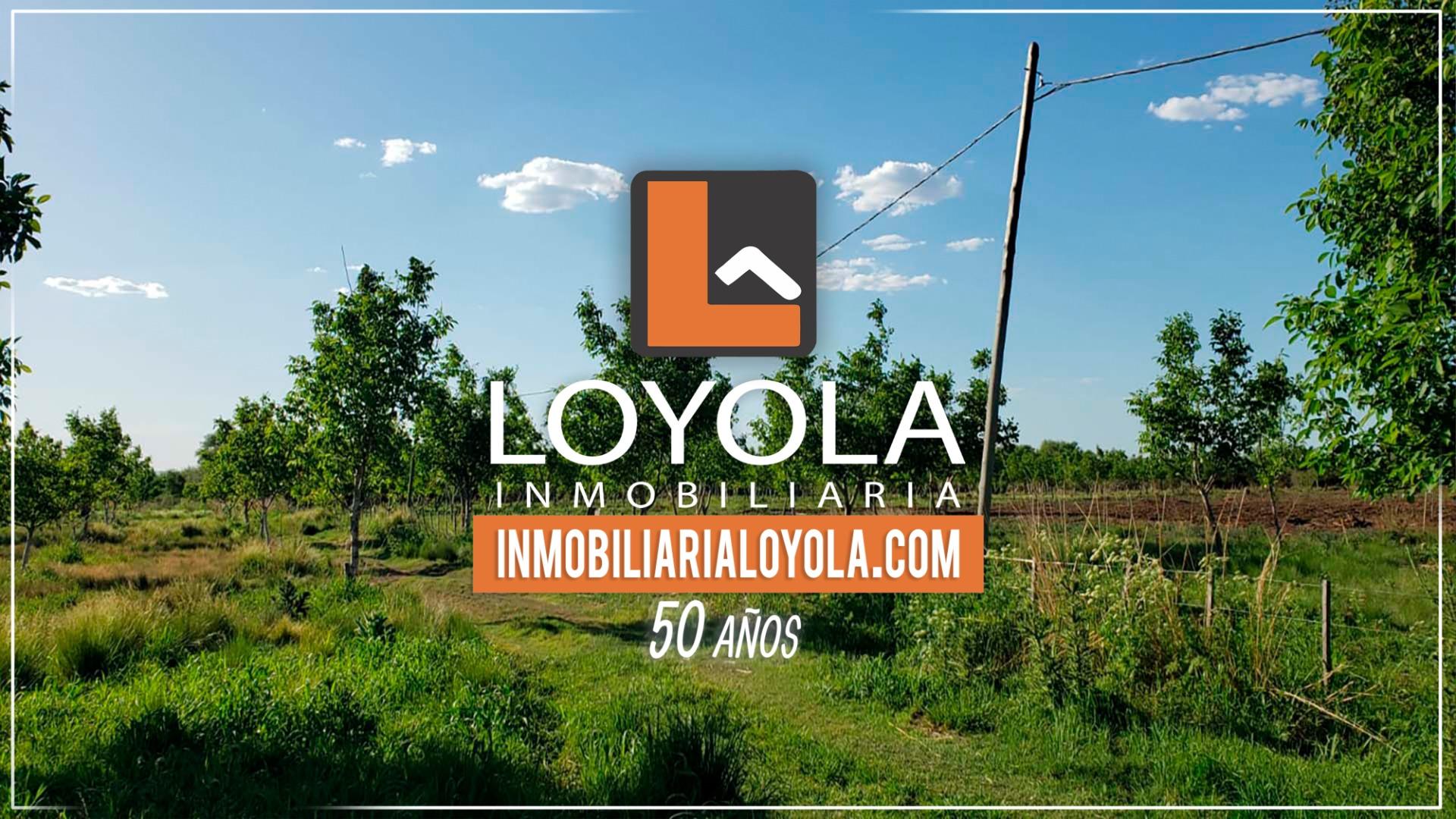 #3605922 | Sale | Farm | La Paz (Loyola Propiedades Merlo San Luis)