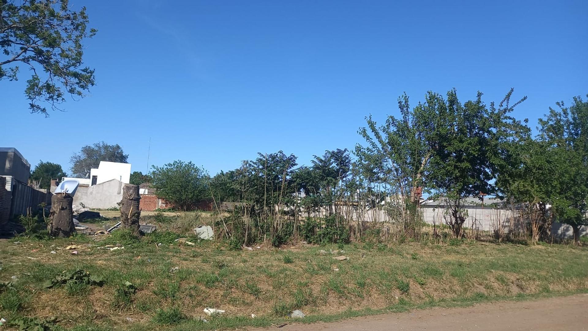 #3606575 | Venta | Lote | Venado Tuerto (Ana Rhode Inmobiliaria)