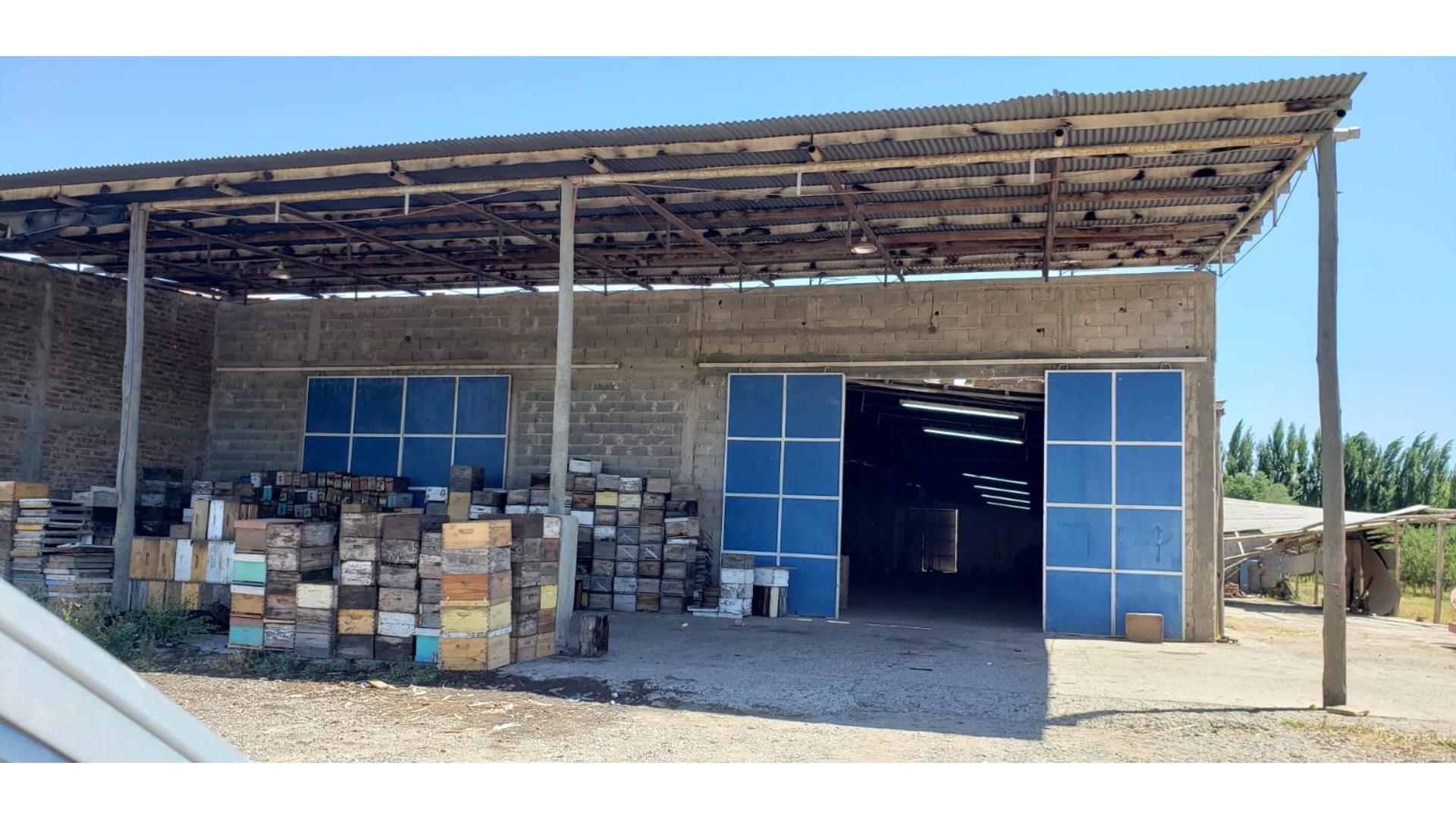 #3677452 | Alquiler | Galpón / Depósito / Bodega | Cipolletti (Mellado Duran Soluciones Inmobiliarias)