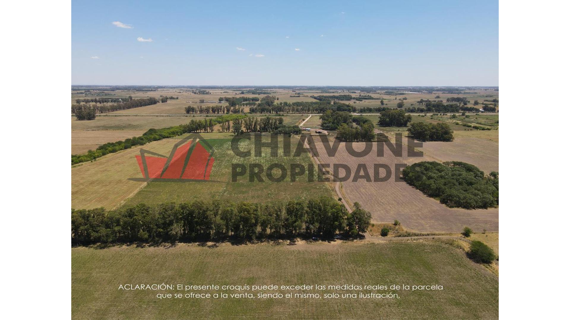 #3960664 | Venta | Campo / Chacra | Marcos Paz B Bernasconi (Chiavone Propiedades)