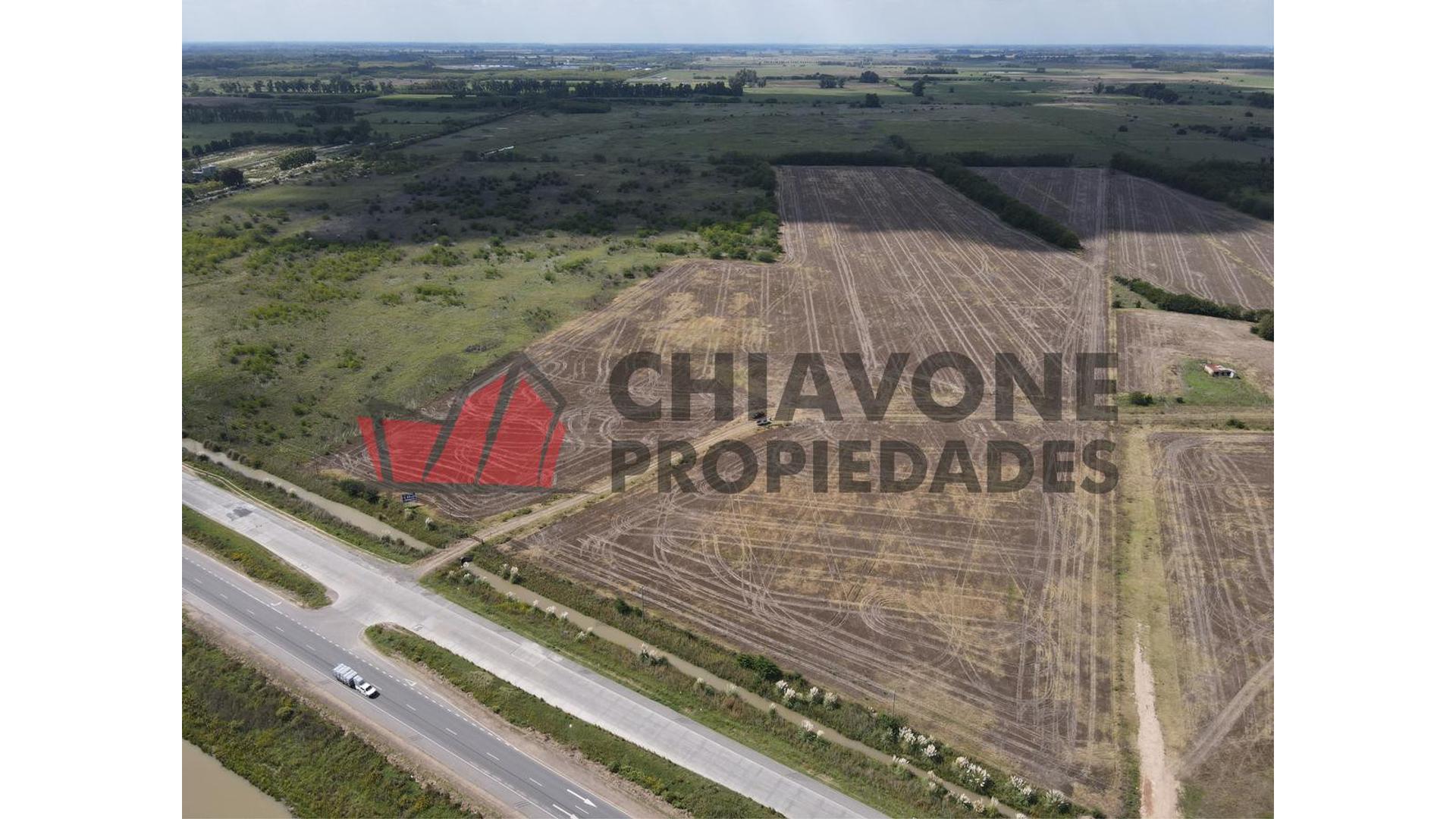 #3960663 | Venta | Campo / Chacra | Marcos Paz B Bernasconi (Chiavone Propiedades)