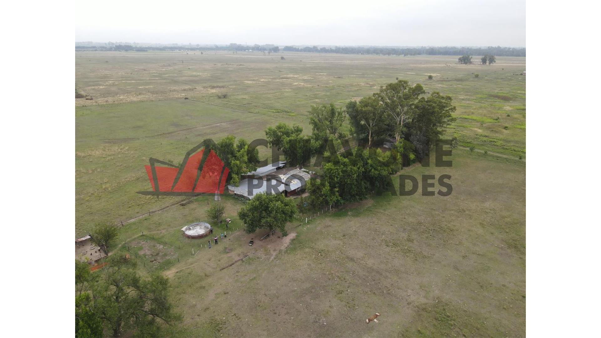 #4142817 | Sale | Farm | Marcos Paz B Bernasconi (Chiavone Propiedades)