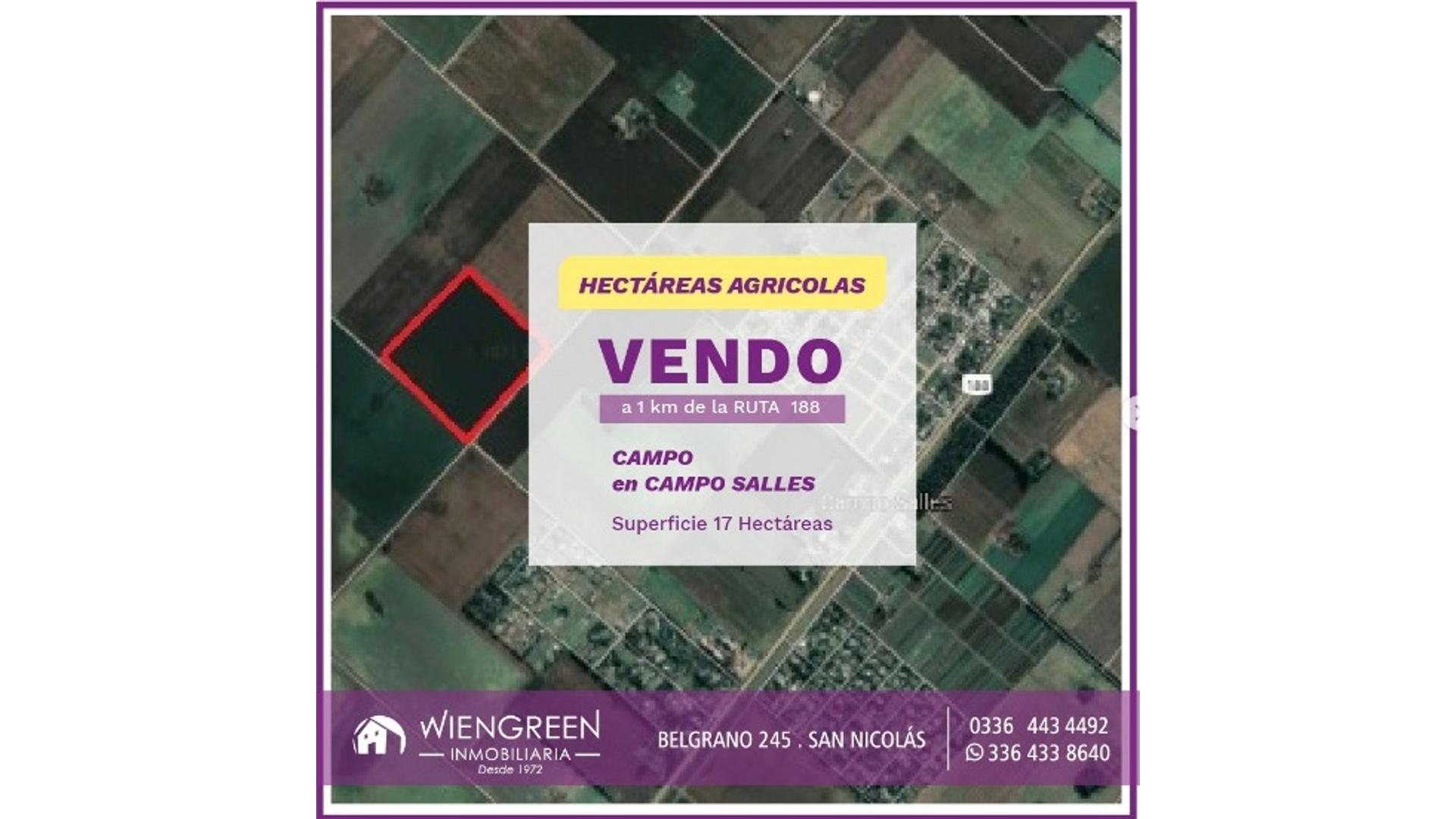 #3940654 | Venta | Campo / Chacra | San Nicolas De Los Arroyos (Inmobiliaria Wiengreen)