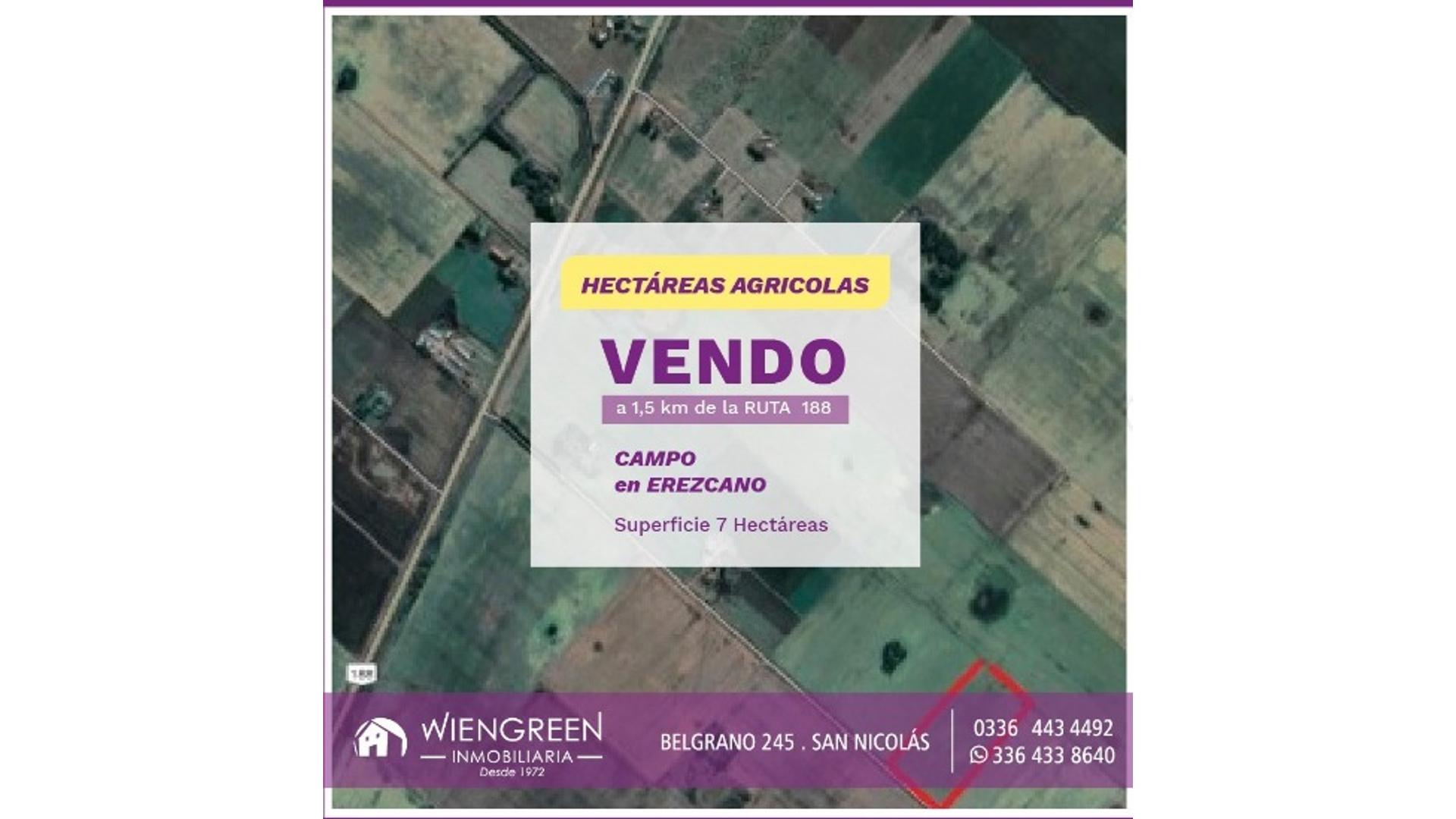 #3940652 | Venta | Campo / Chacra | San Nicolas De Los Arroyos (Inmobiliaria Wiengreen)