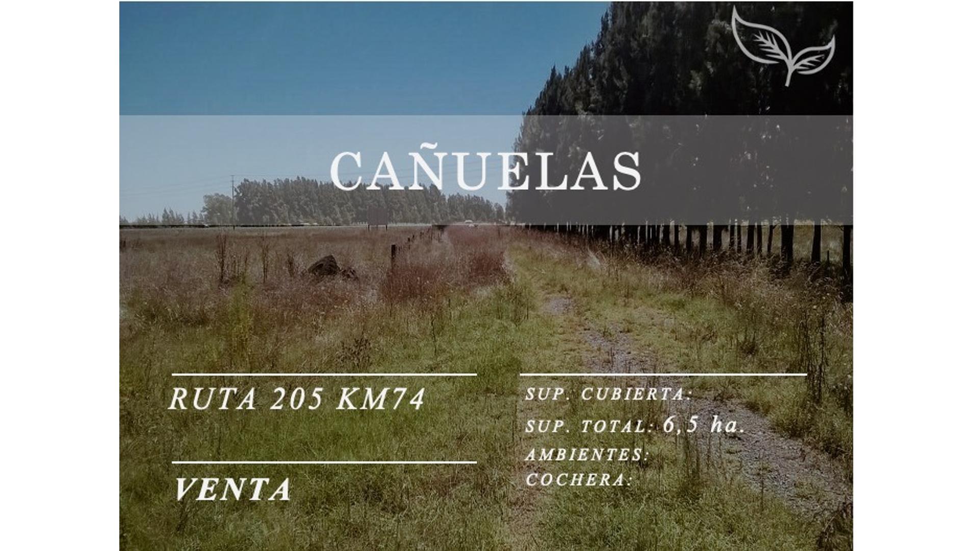 #3940380 | Venta | Campo / Chacra | Cañuelas (Bienderaiz - C.N. Carrizo Negocios Inmobiliarios)