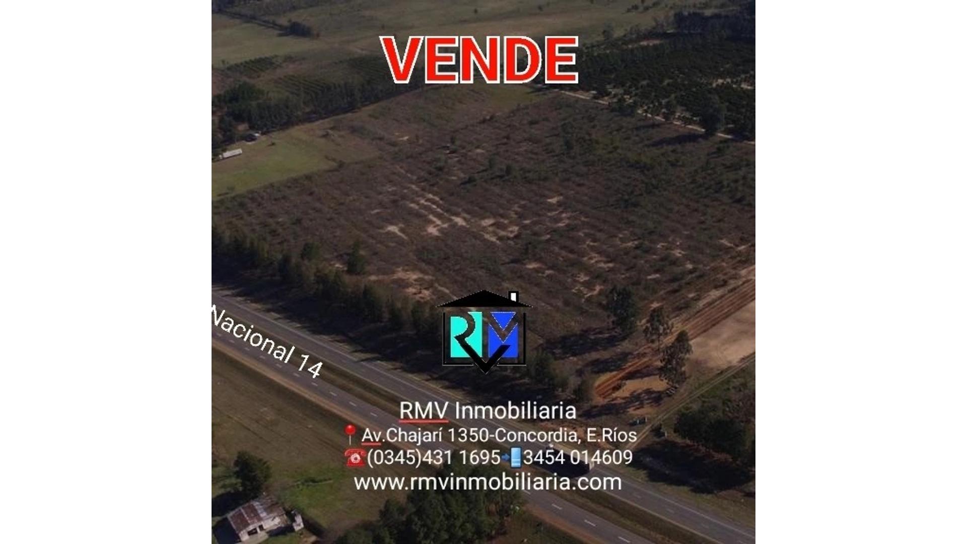 #4026231 | Venta | Campo / Chacra | Concordia (RMV Negocios Inmobiliarios)
