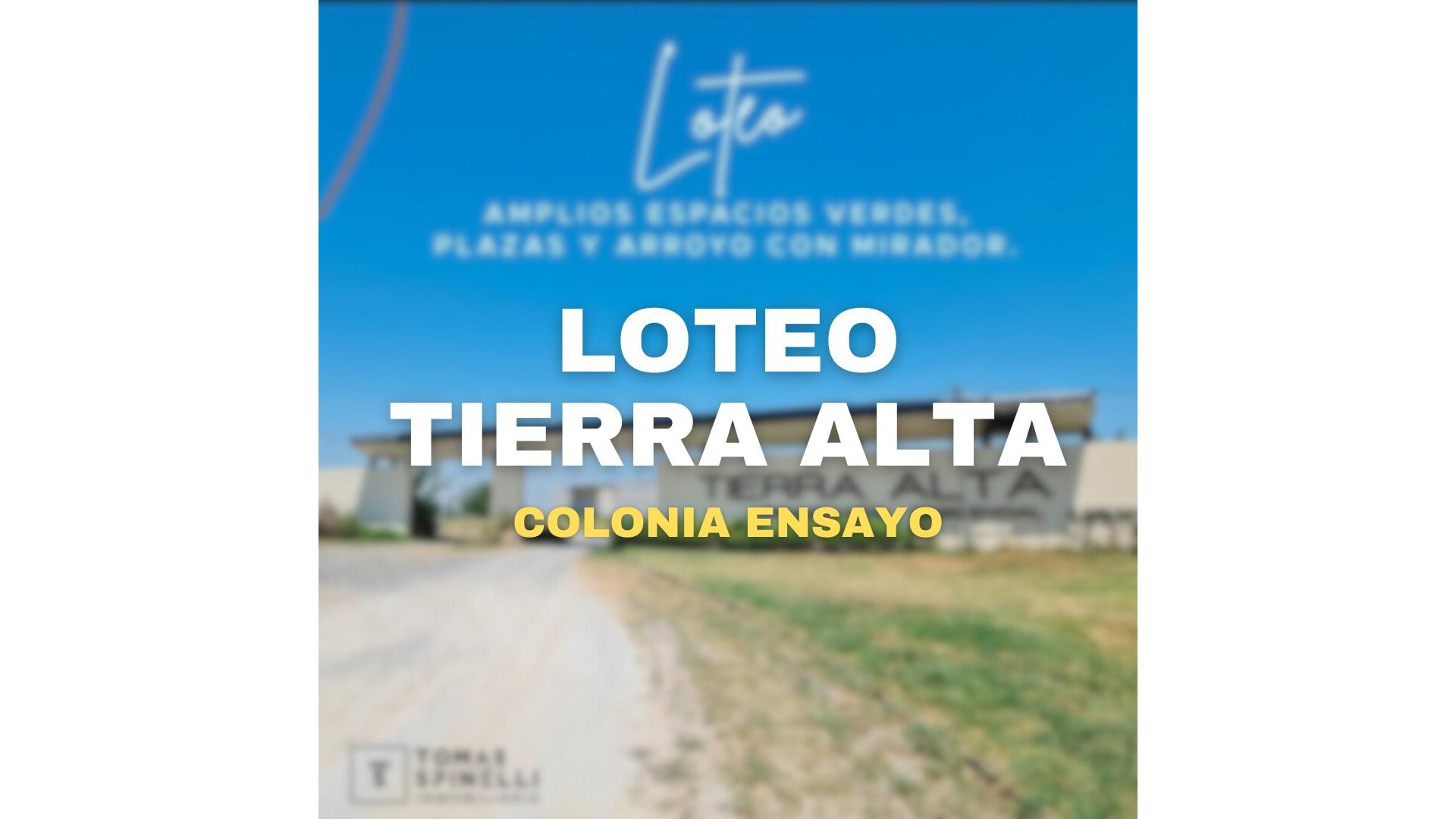 #4174643 | Venta | Lote | Colonia Ensayo (TOMAS SPINELLI Mat: 1222)