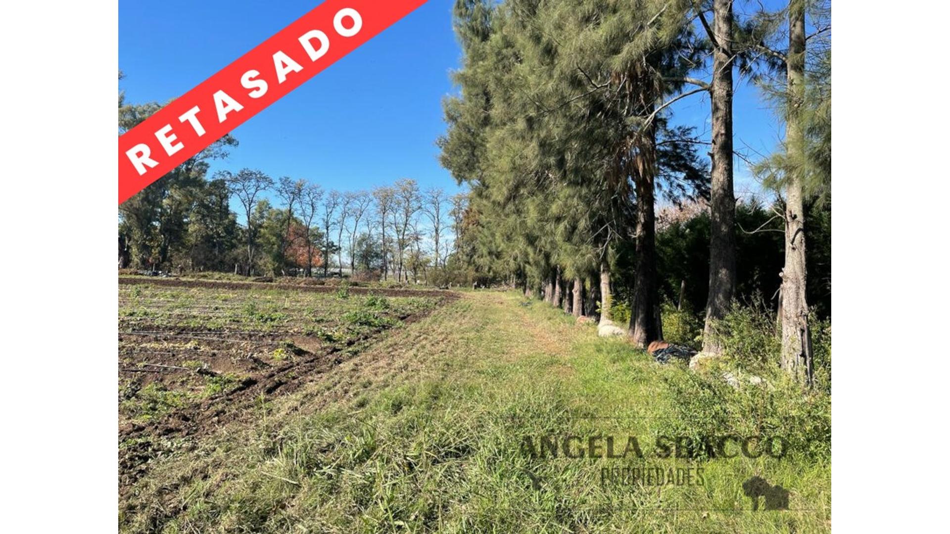 #4063223 | Sale | Farm | Exaltacion De La Cruz (Angela Sbacco)