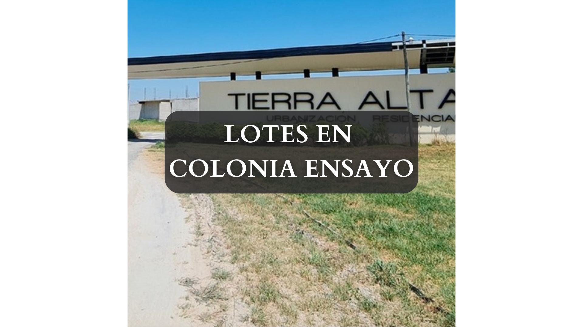 #4560836 | Venta | Lote | Colonia Ensayo (TOMAS SPINELLI Mat: 1222)