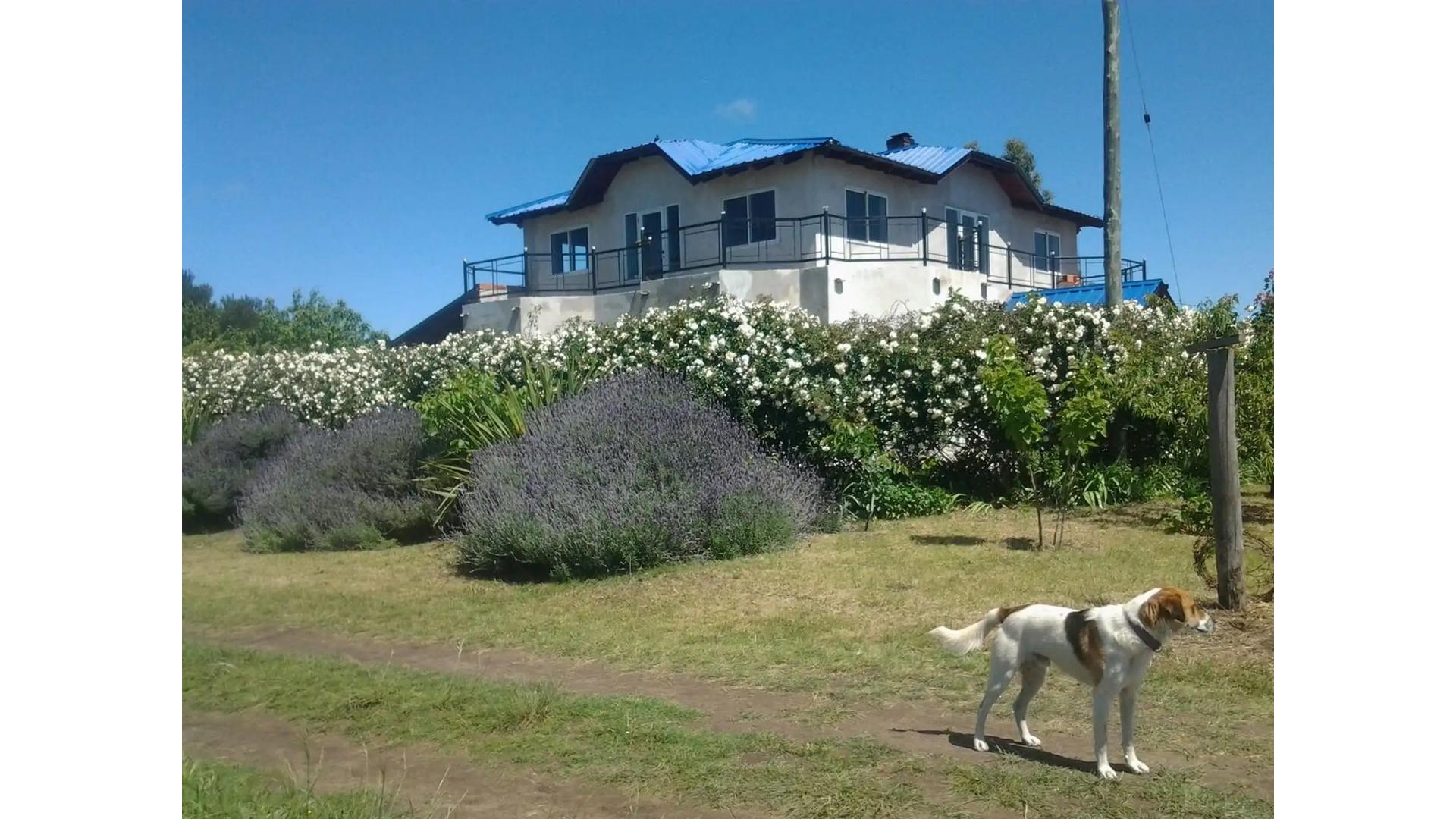 #4884008 | Sale | House | Necochea (CIRILO LEONTIEV)