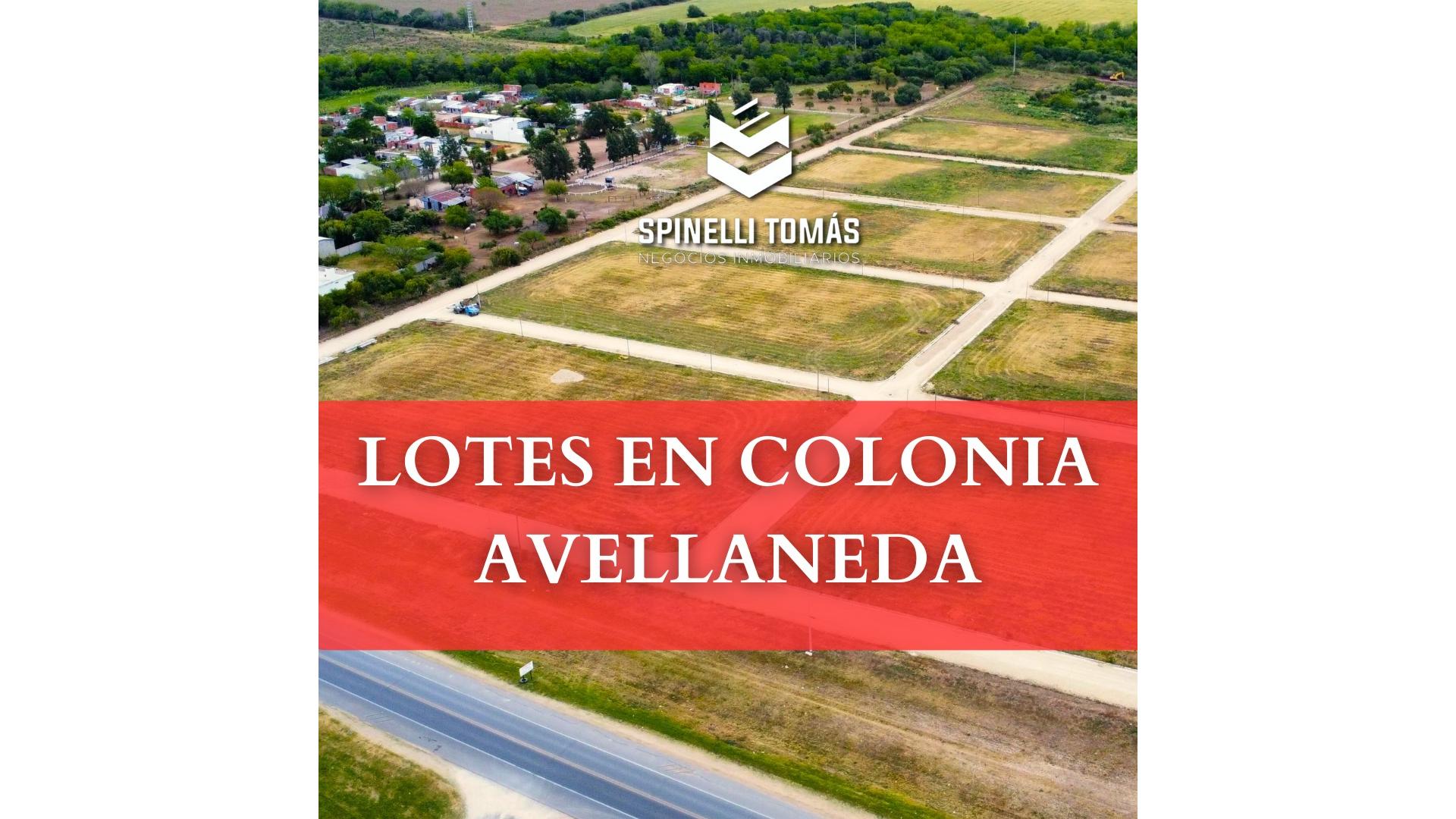 #4877923 | Venta | Lote | Colonia Avellaneda (TOMAS SPINELLI Mat: 1222)