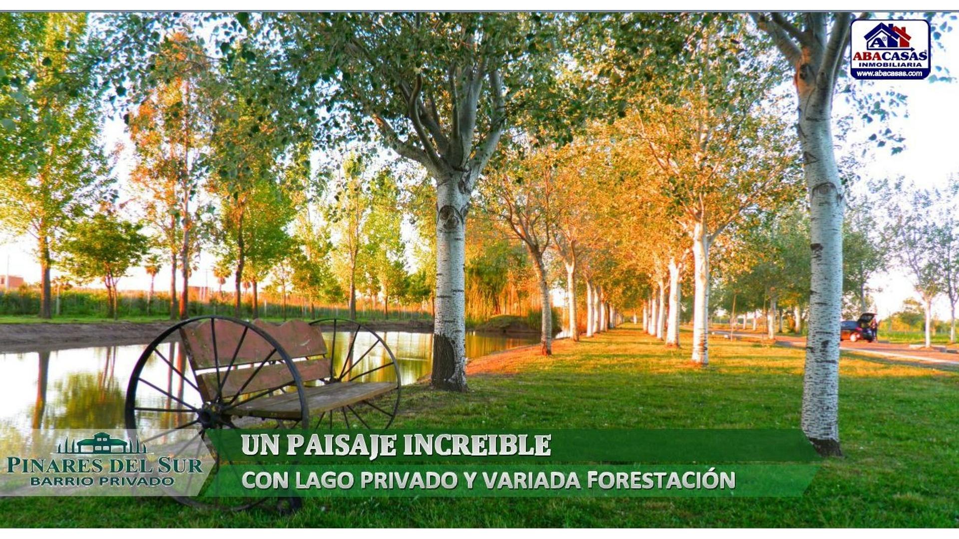 #4926930 | Venta | Lote | Piñero (ABACASAS INMOBILIARIA)