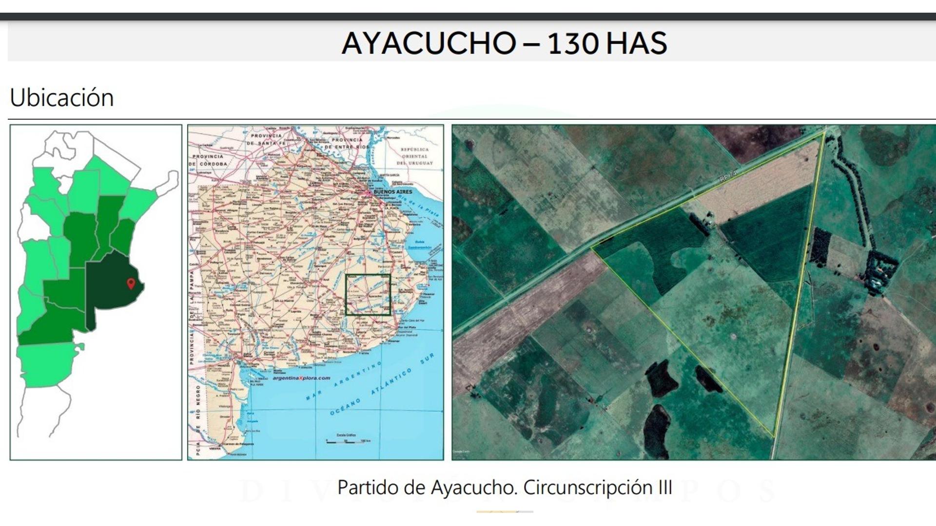 #4932788 | Venta | Campo / Chacra | Ayacucho (Daniel Di Nardo)