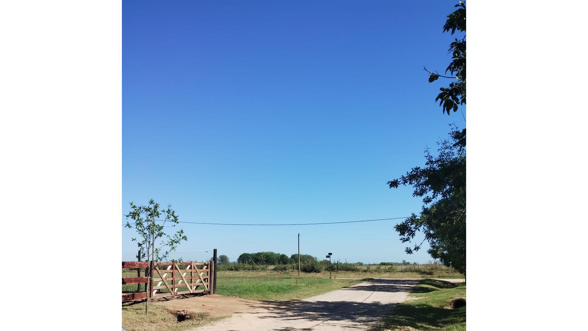 #4982366 | Venta | Lote | San Antonio De Areco (Vailati Rural Propiedades)