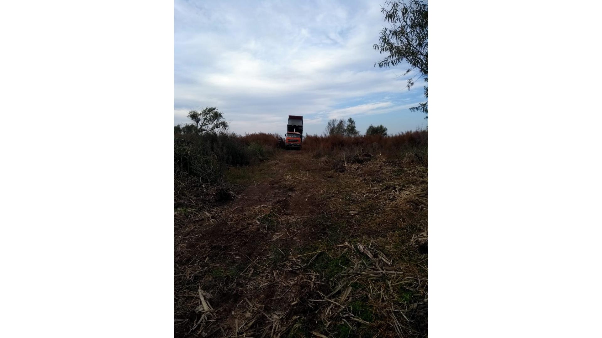 #5367554 | Venta | Campo / Chacra | Puerto Ibicuy (Ragusa Inmobiliaria)