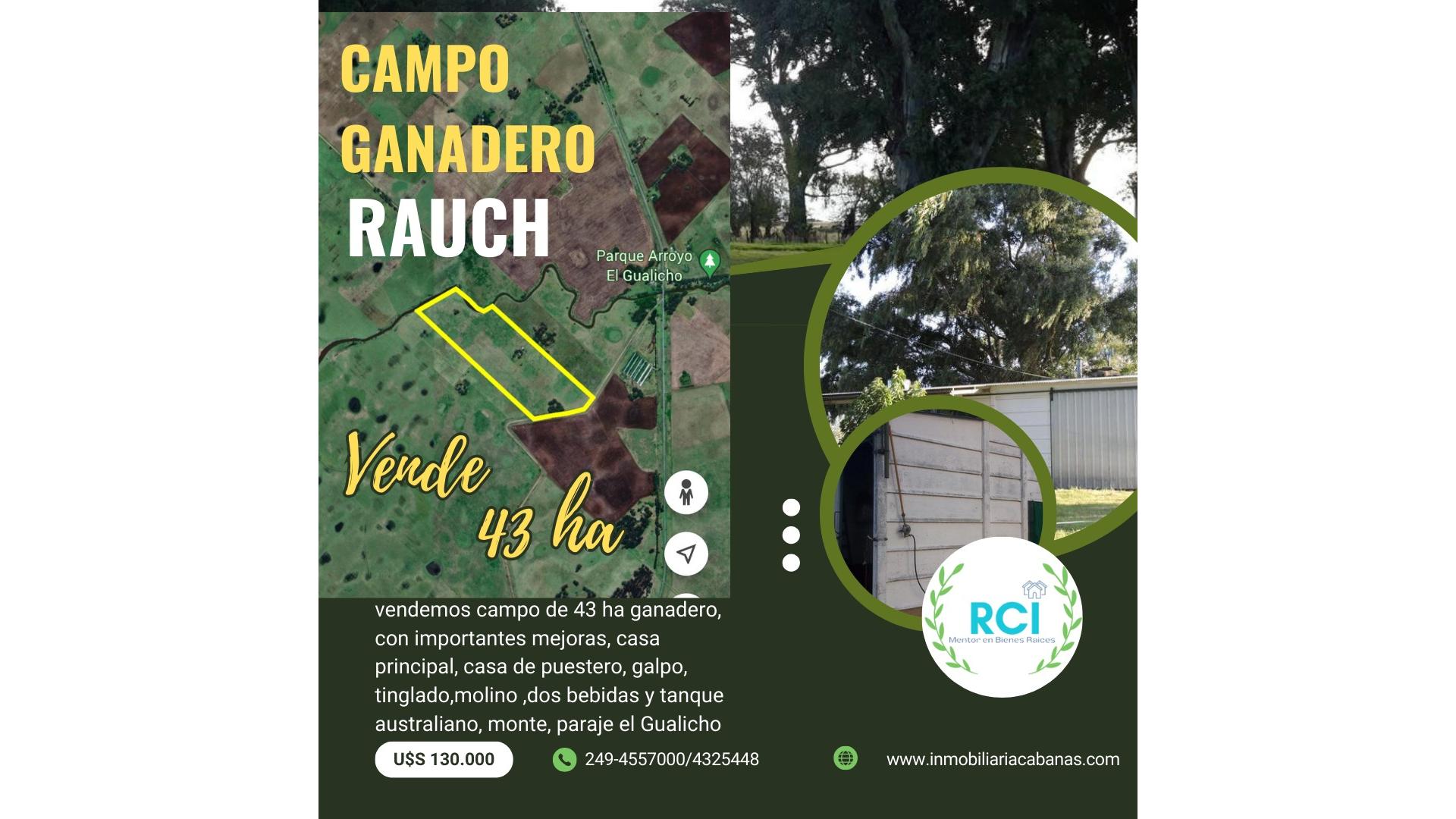#5105168 | Venta | Campo / Chacra | Rauch (Inmobiliaria Cabanas)
