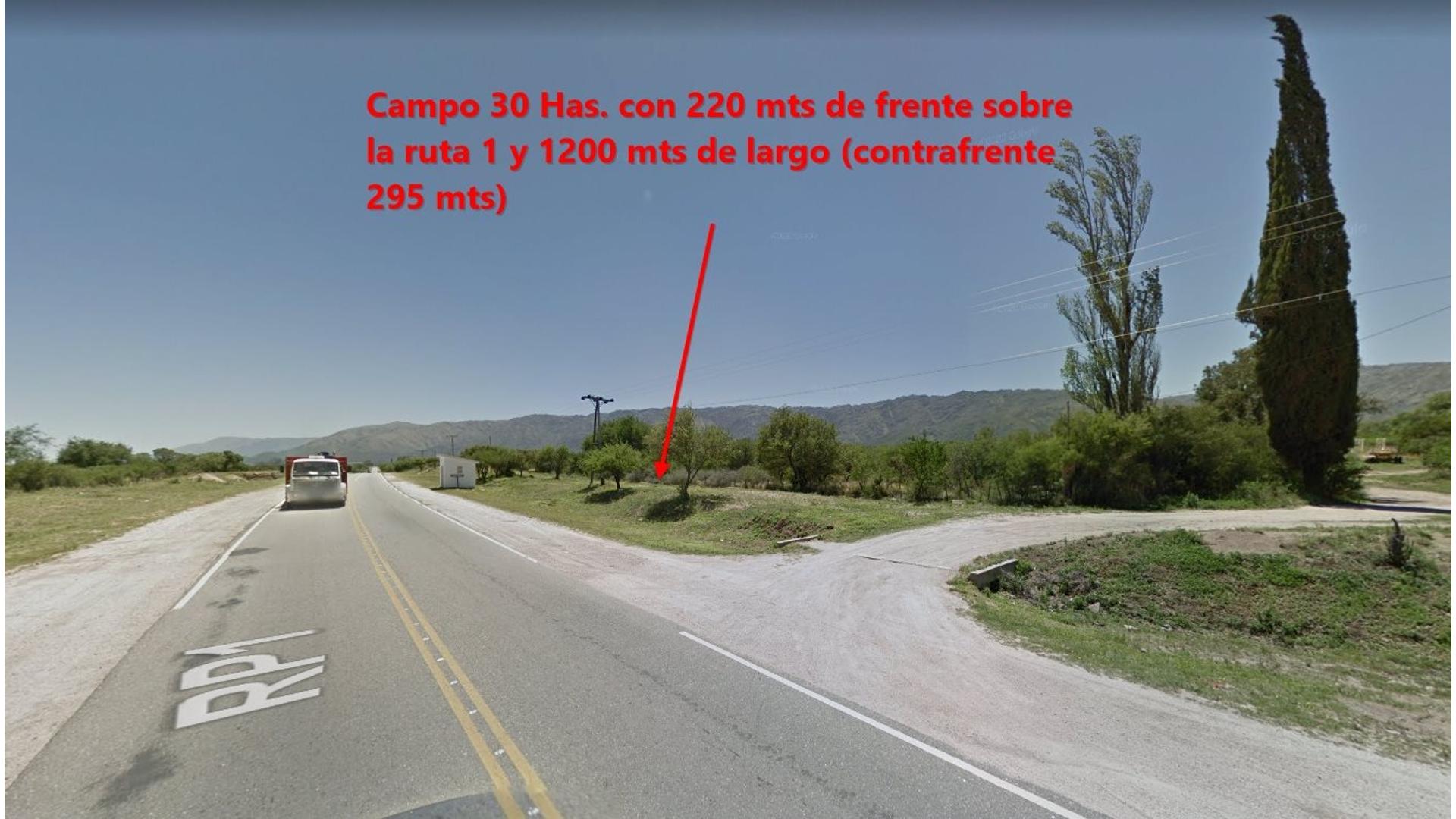 #5111733 | Venta | Campo / Chacra | Villa Larca (Barrera y Asoc.)