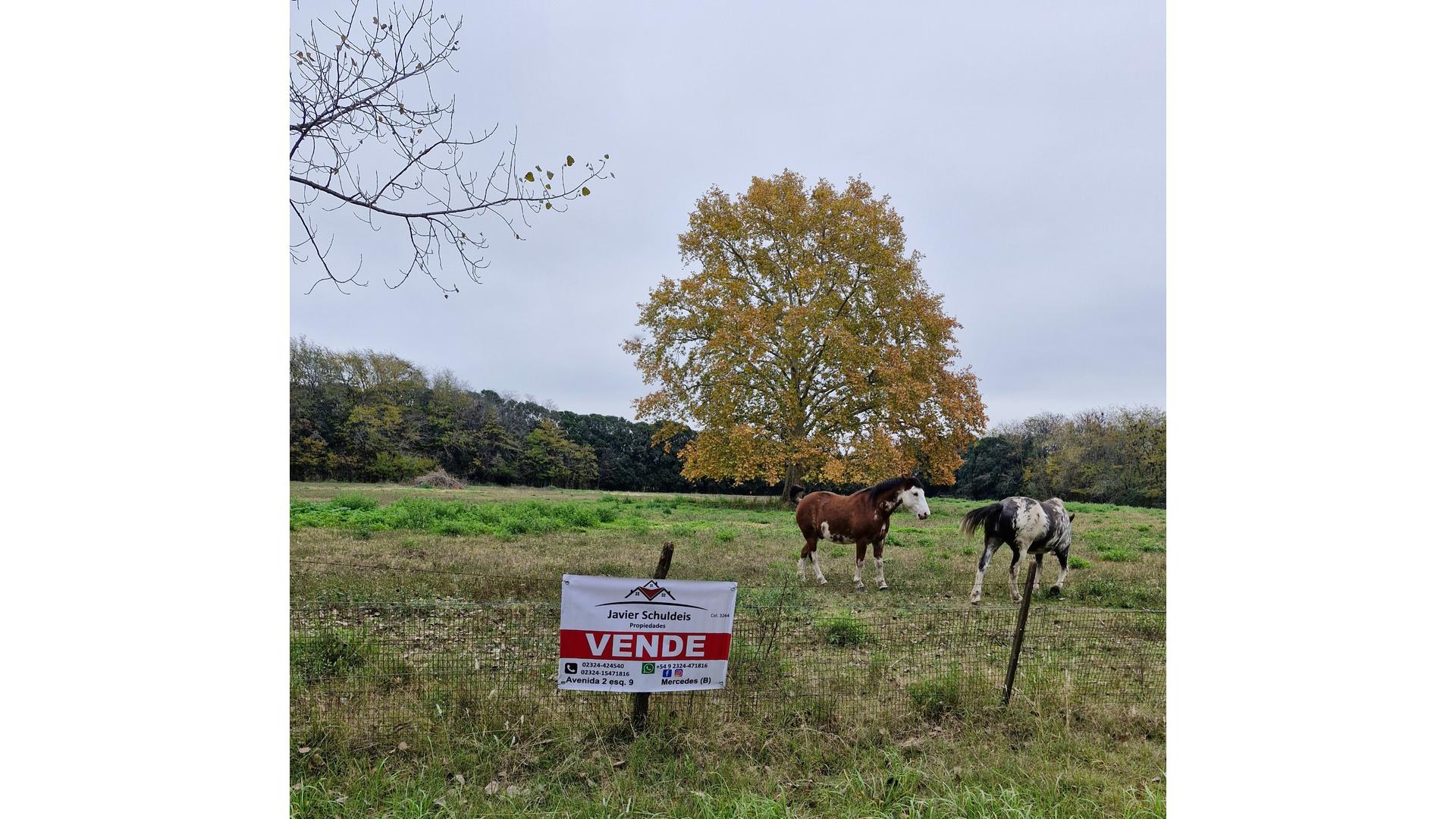 #2535291 | Venta | Campo / Chacra | Mercedes (El Ceibo Propiedades De Javier Schuldeis.)