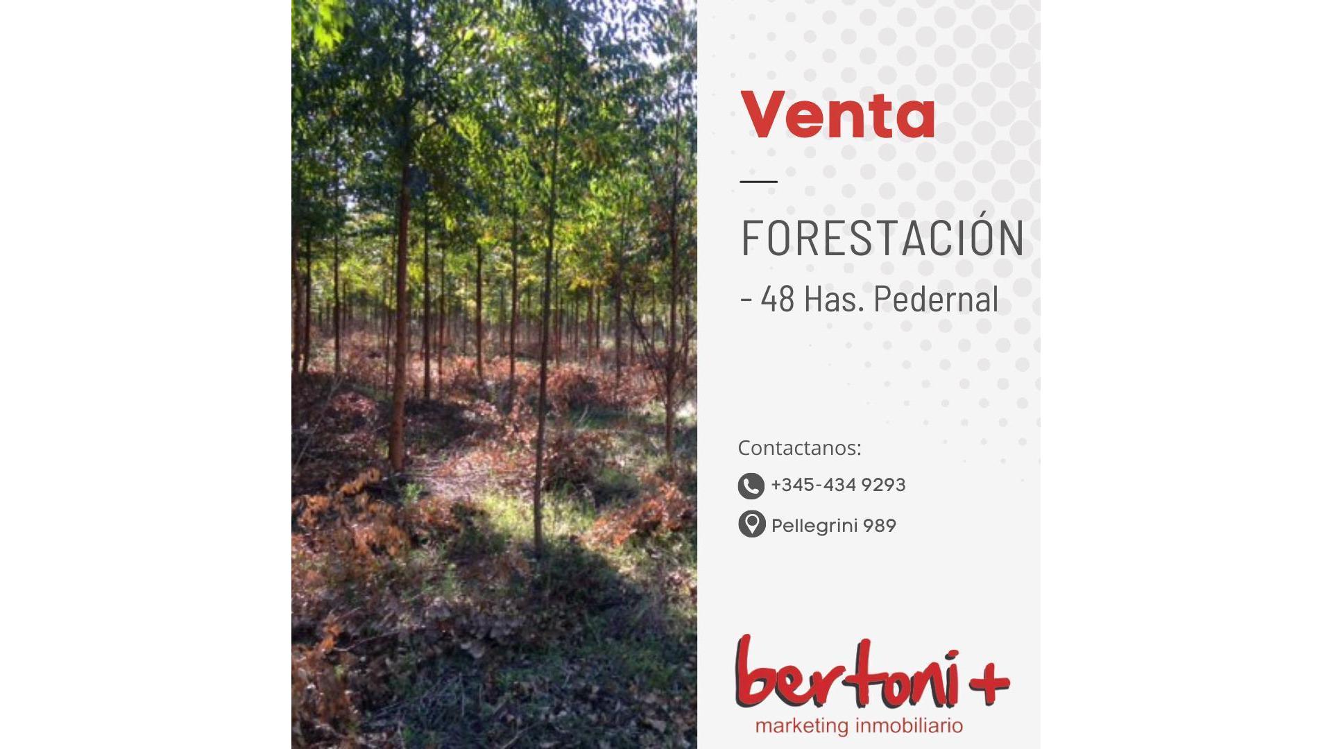 #5275381 | Venta | Campo / Chacra | Concordia (Bertoni + Marketing Inmobiliario)