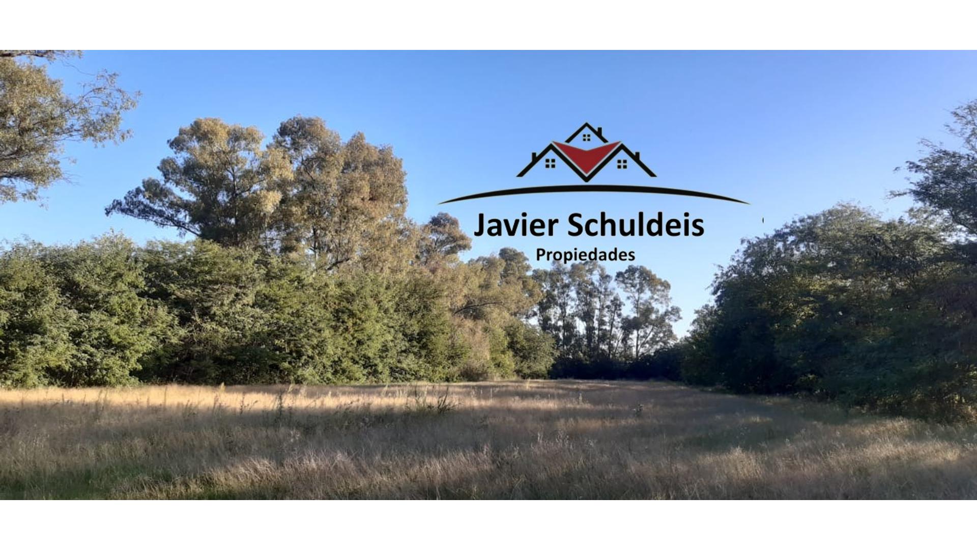 #5004000 | Sale | Farm | San Andres De Giles (El Ceibo Propiedades De Javier Schuldeis.)