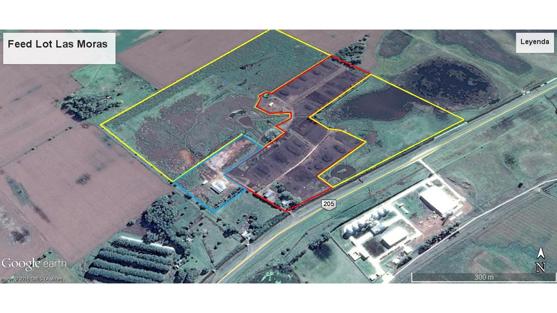 #5250587 | Venta | Campo / Chacra | Saladillo (Juan Beckford Servicios Inmobiliarios)