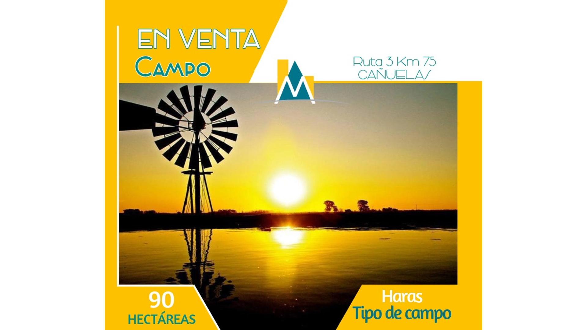 #895283 | Venta | Campo / Chacra | Cañuelas (Marcela Miranda Inmobiliaria)