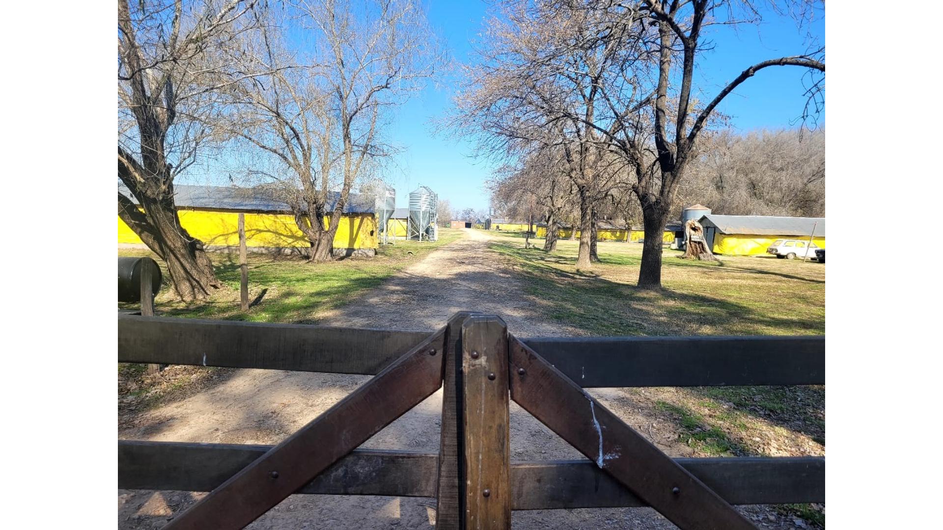 #4869461 | Venta | Campo / Chacra | Carmen De Areco (Vailati Rural Propiedades)