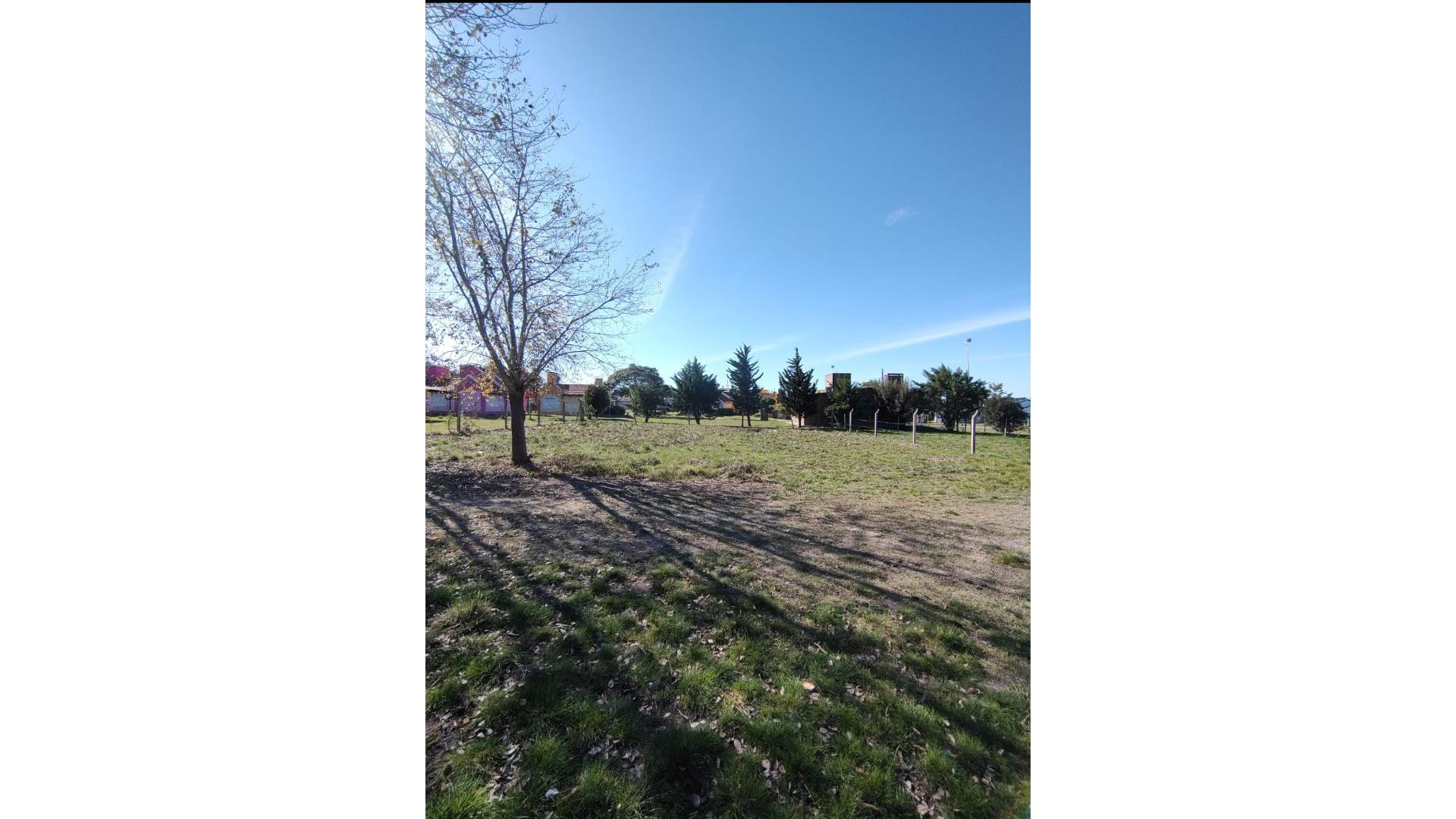 #5355570 | Venta | Lote | Maria Grande (Inmobiliaria Lorenzon)