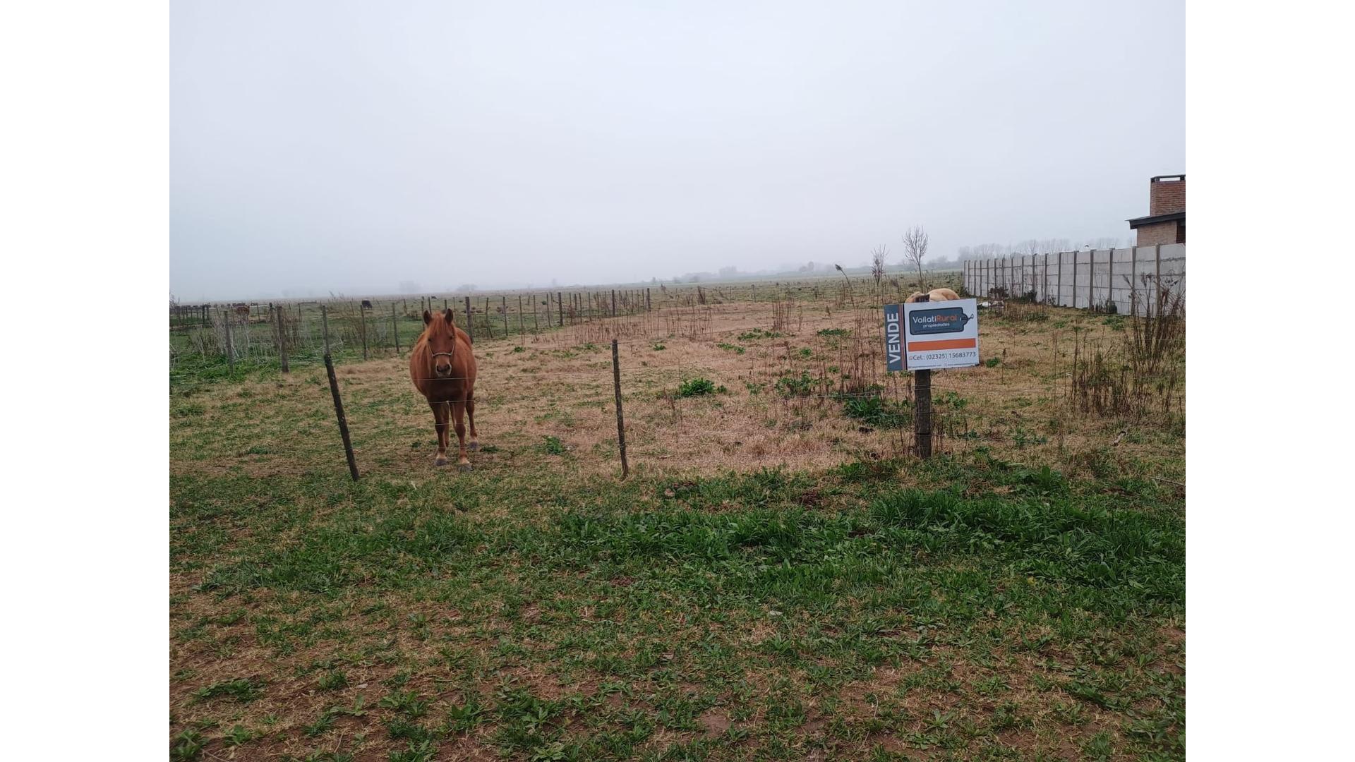 #5364083 | Venta | Lote | San Antonio De Areco (Vailati Rural Propiedades)