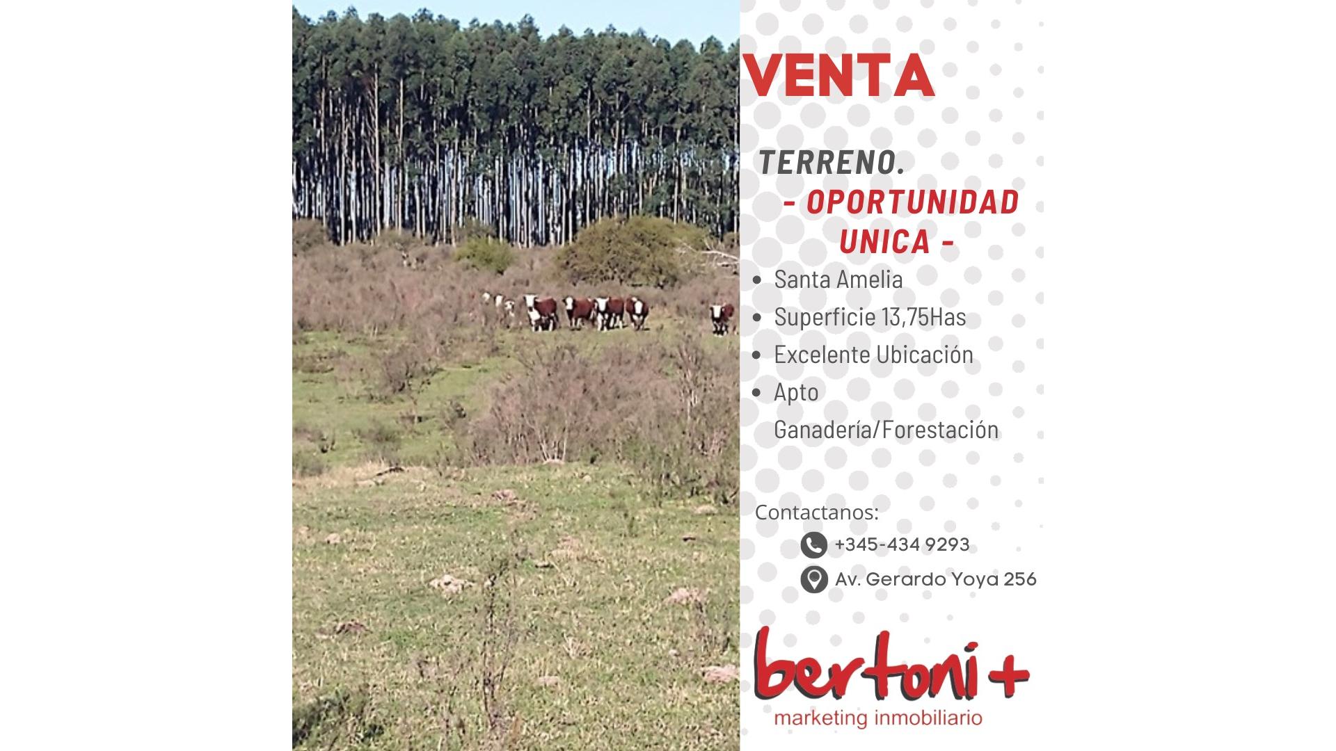 #5358432 | Venta | Lote | Concordia (Bertoni + Marketing Inmobiliario)