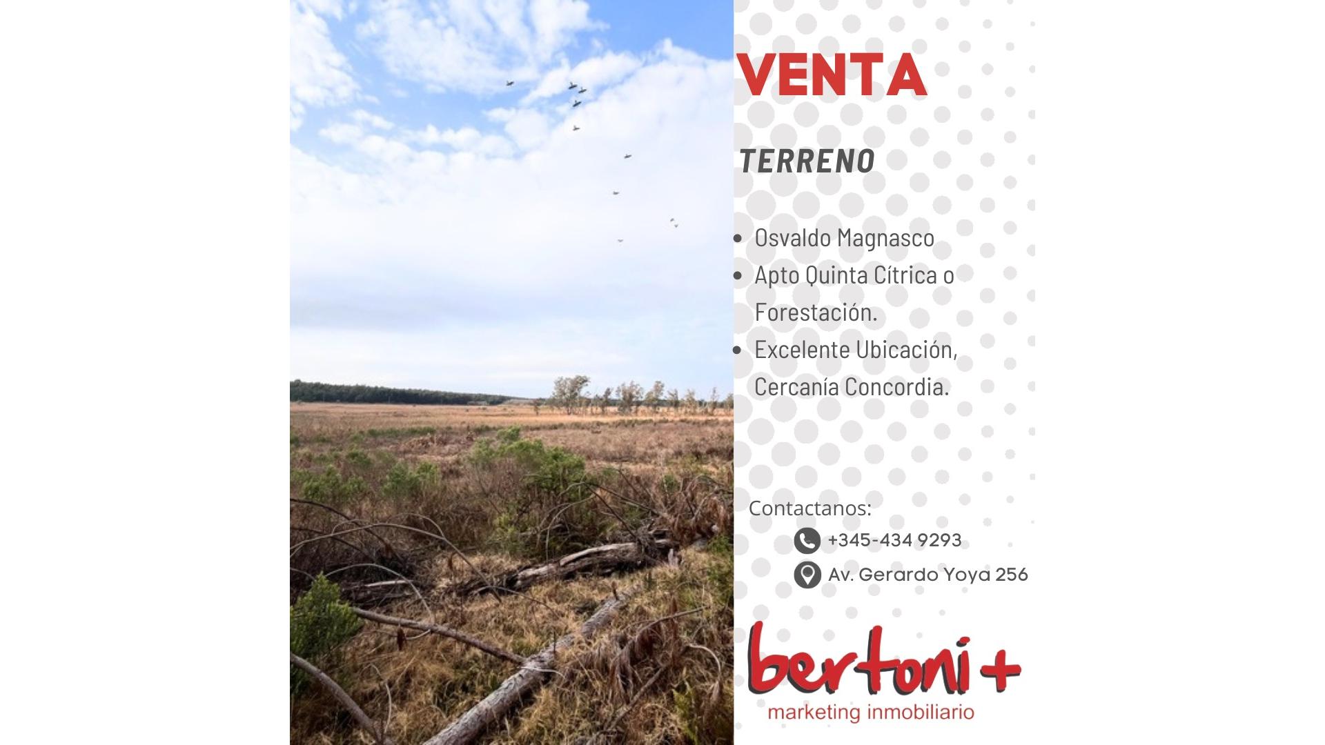 #5358430 | Sale | Farm | Concordia (Bertoni + Marketing Inmobiliario)