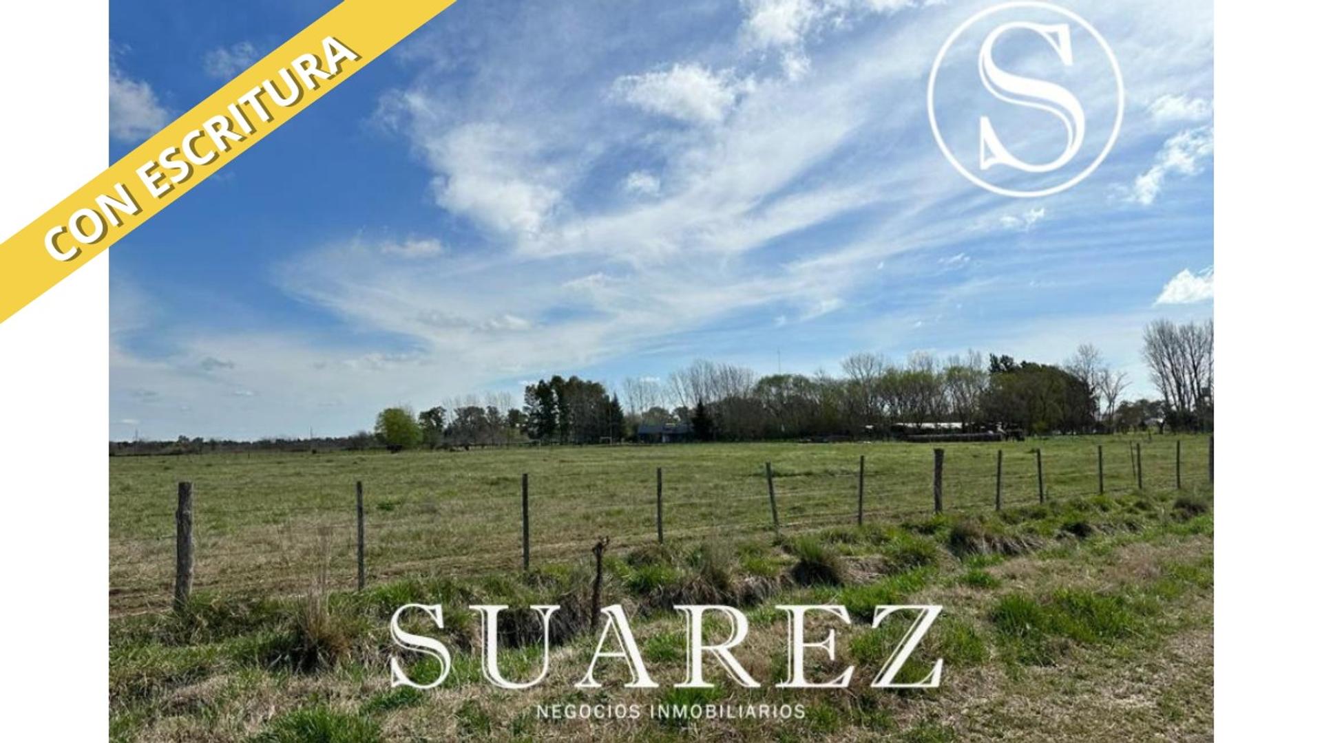 #5360796 | Venta | Campo / Chacra | Mercedes (Suarez Negocios Inmobiliarios)